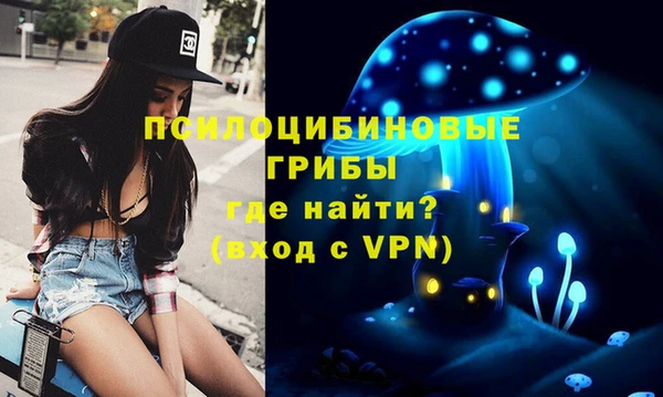 дурь Белокуриха