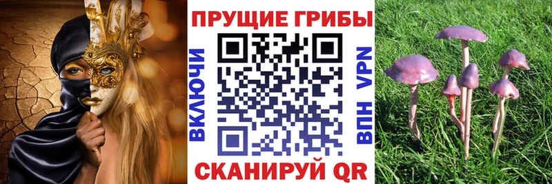 Купить где  Кунгур  Псилоцибиновые грибы ЛСД 